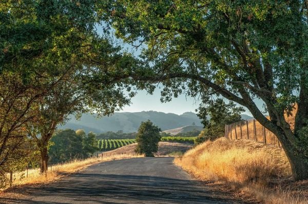The 35km Cycle Route through California’s Wine Country