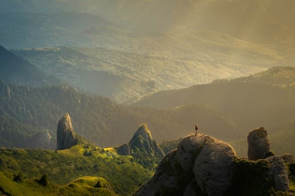 ‘Quietcations’: the Importance of Seeking Silence in a Noisy World